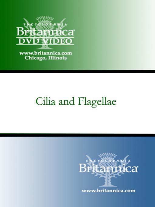 Click image to view full cover